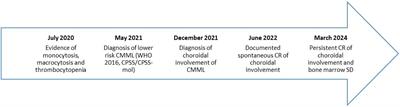 Spontaneous remission of choroidal involvement by chronic myelomonocytic leukemia: a case report